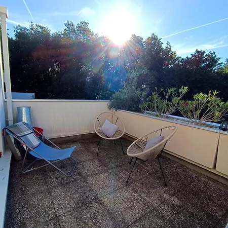 La Canopee : Sejour Alliant Culture, Nature, Sport Nantes